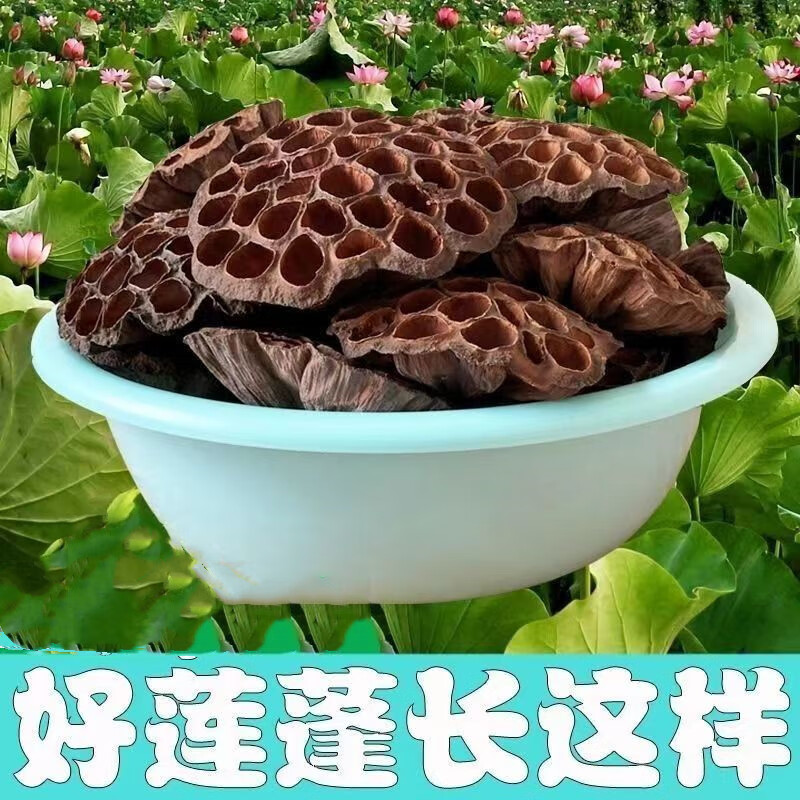 莲蓬在荷花的什么部位生长?原来长在这里,快来看看吧!