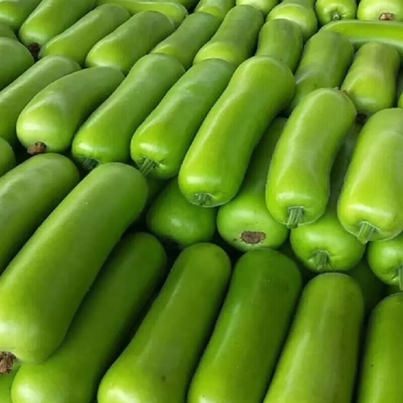 夏日餐桌的绿意诗篇:瓠子瓜的清爽哲学